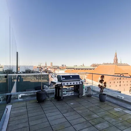 Luxury Harbourfront Penthouse With Private Rooftop Apartment Copenhagen